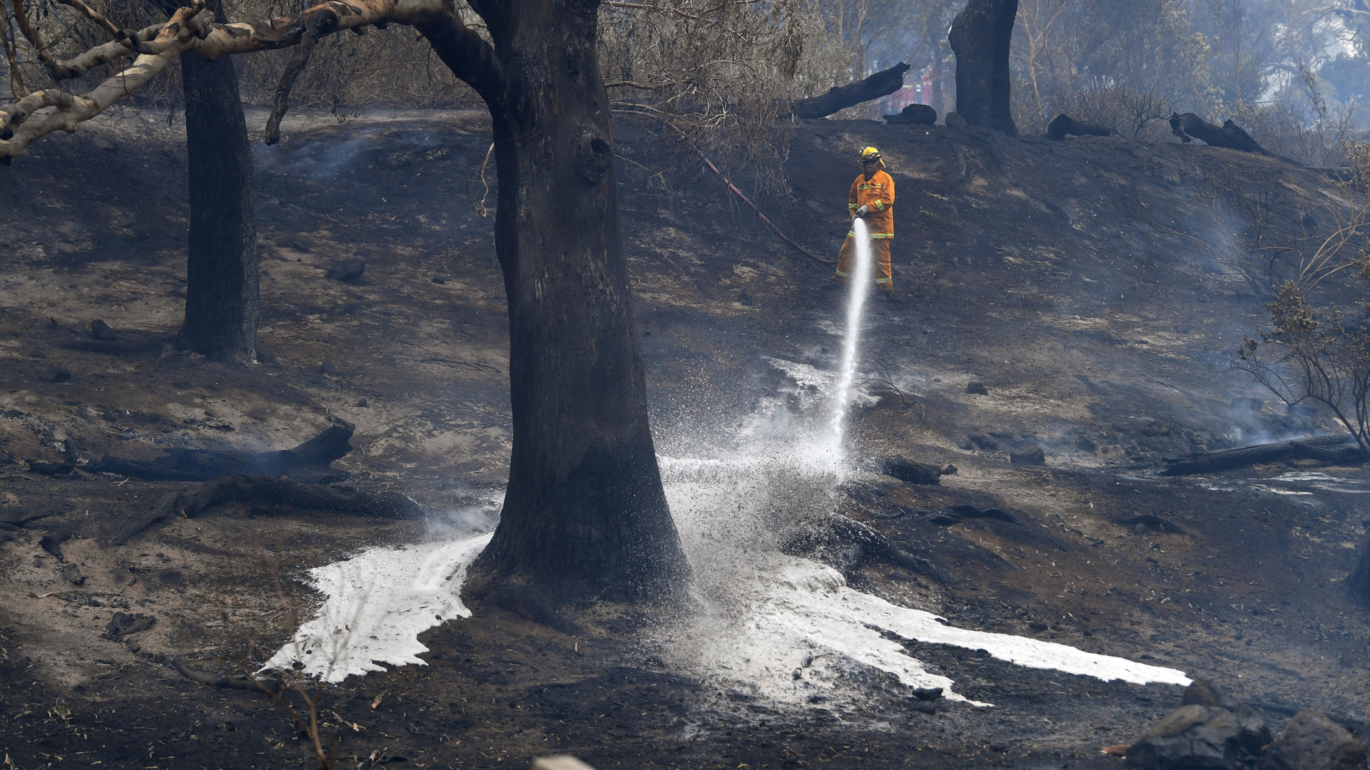 Sube a 16 número de víctimas por incendios en Australia - combate-de-incendios-en-australia