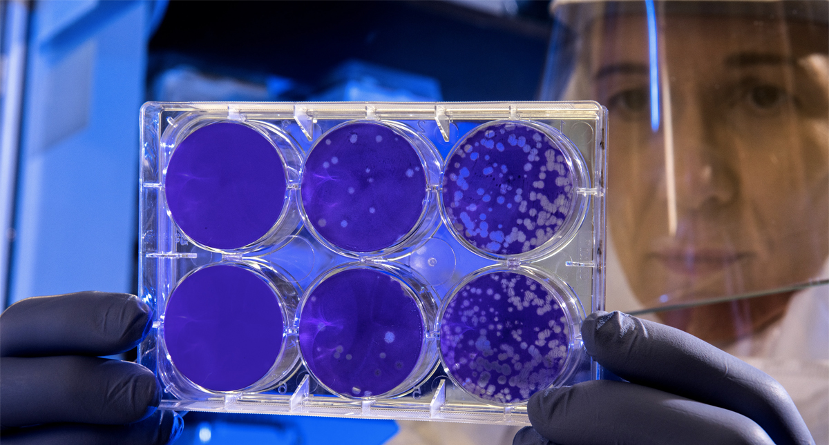 OMS convoca a reunión de emergencia por nuevo brote de virus en China