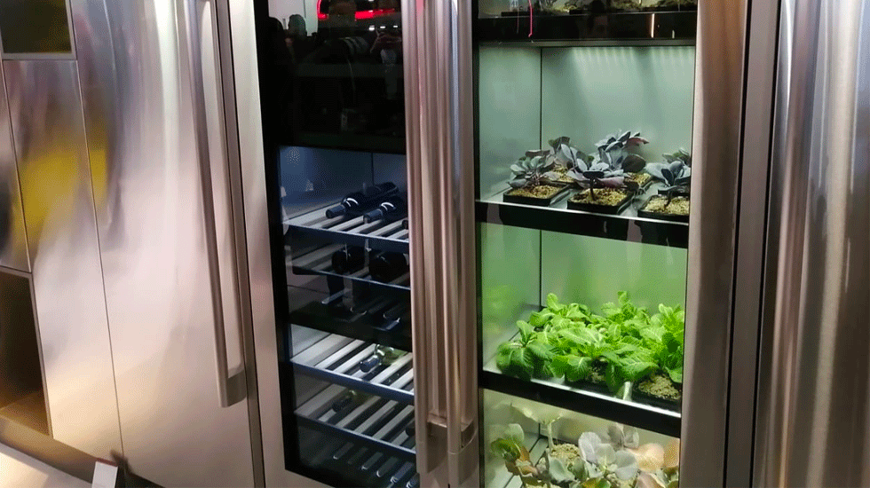 El refrigerador que cultiva vegetales en 25 días