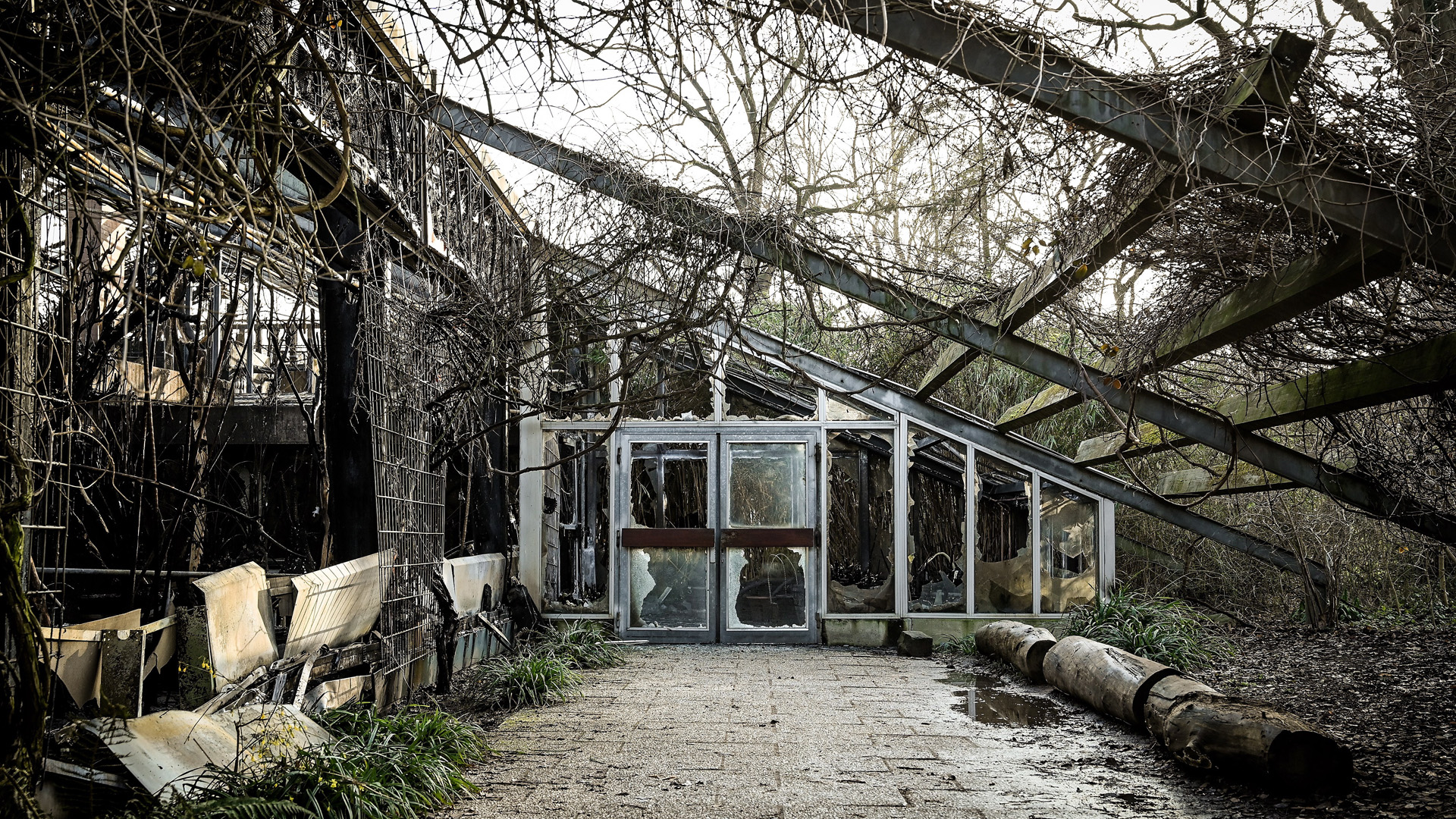 Incendio en zoológico de Alemania mata a 30 animales en Año Nuevo - danos-en-el-zoologico-por-incendio