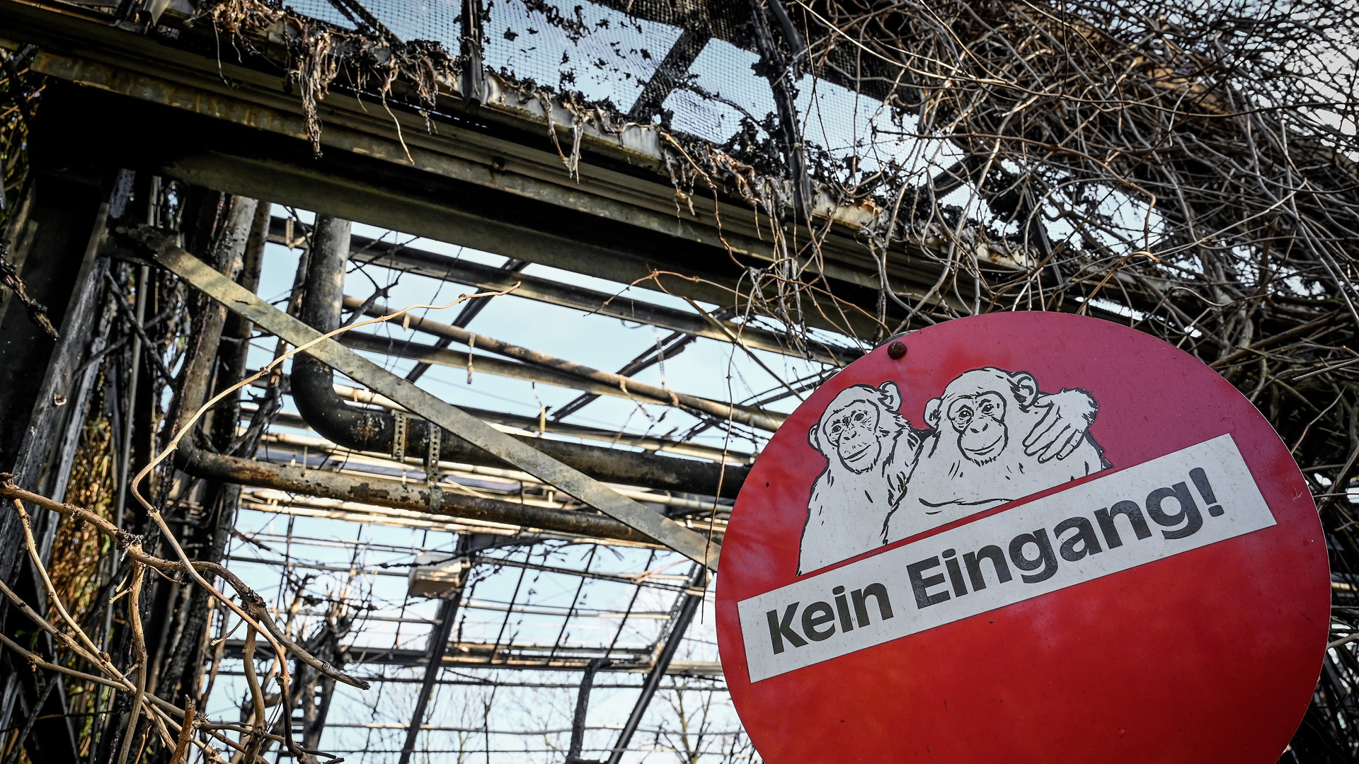 Mujeres se entregan a la Policía de Alemania por incendio en zoológico