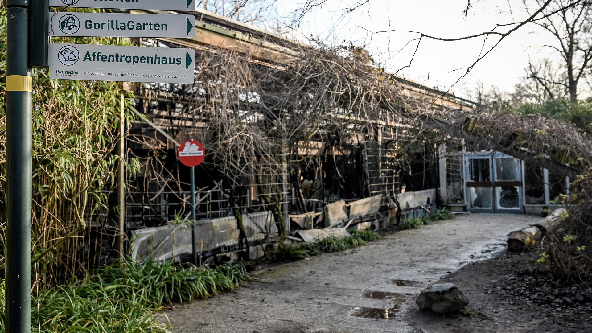 Incendio en zoológico de Alemania mata a 30 animales en Año Nuevo