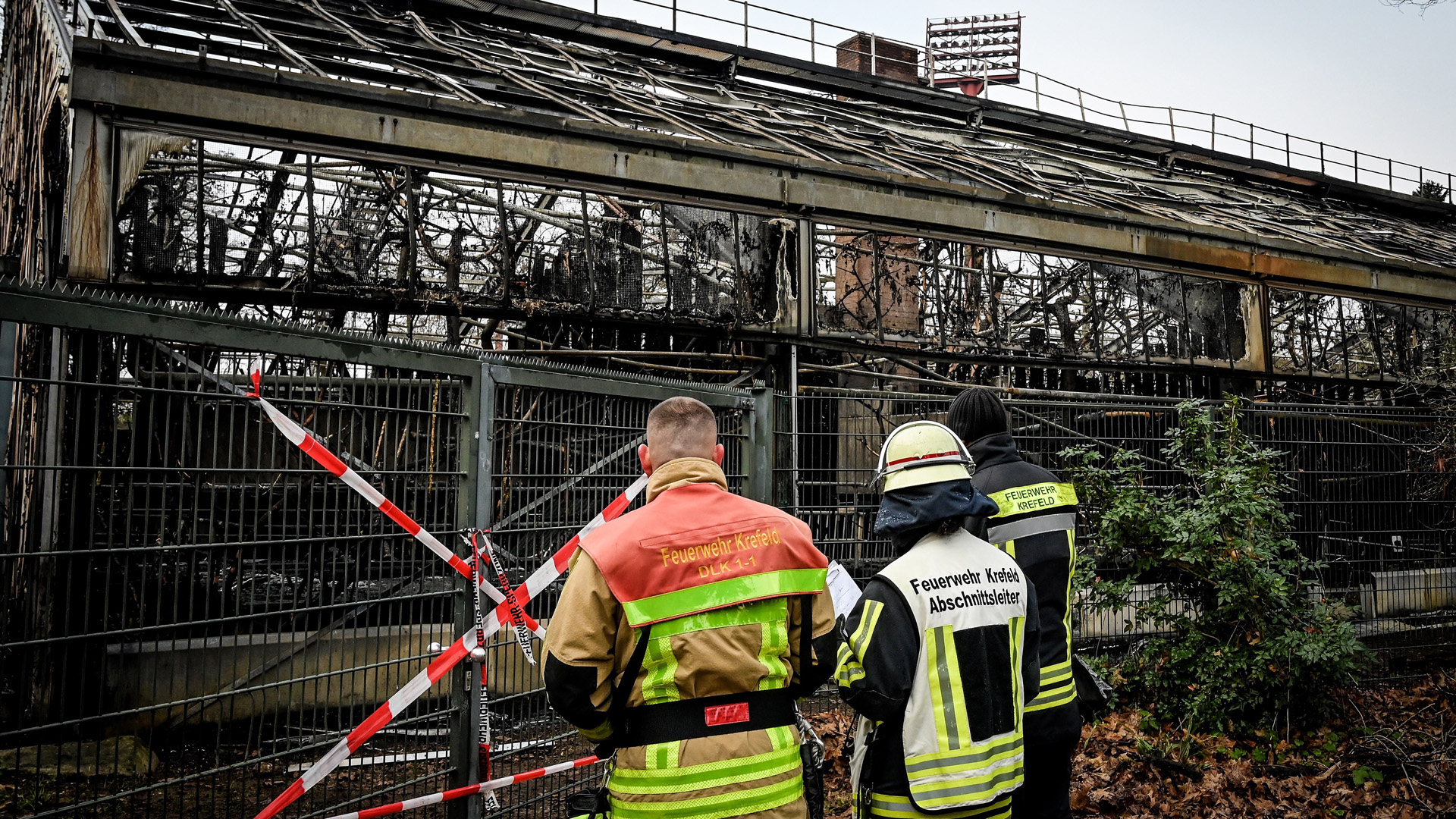 Incendio en zoológico de Alemania mata a 30 animales en Año Nuevo - el-zoologico-de-krefeld-permanecera-cerrado-este-miercoles-tras-incendio