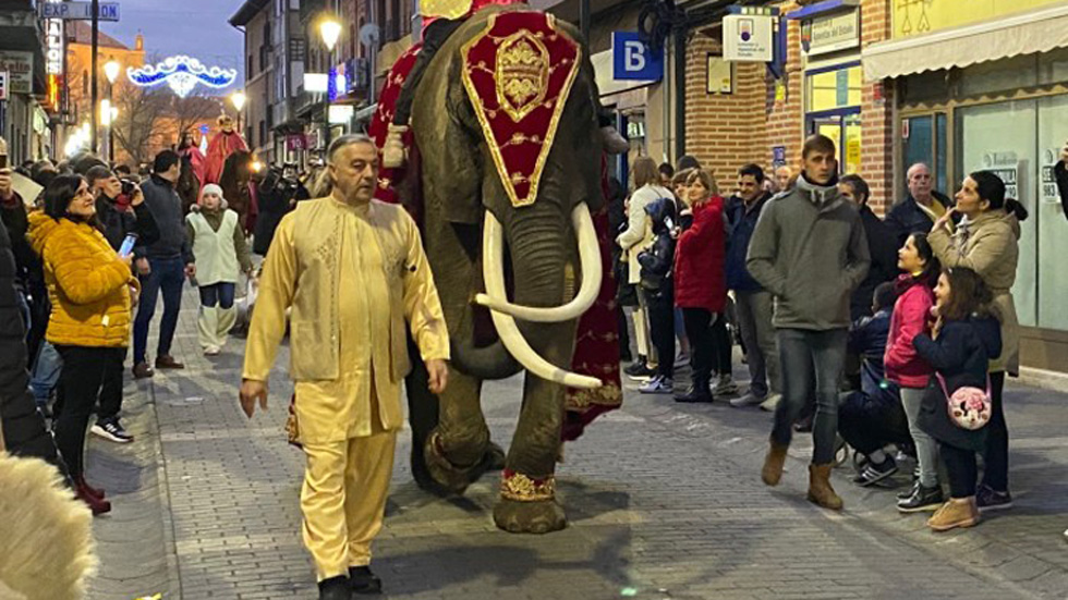 #Video Elefanta tira por accidente a niños y alcalde en desfile de Reyes Magos