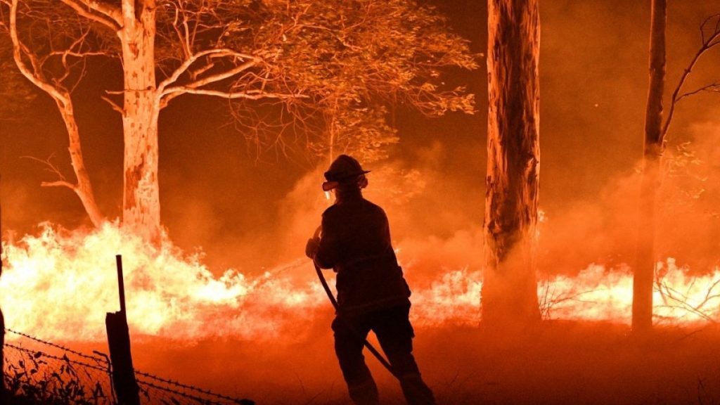 Ocho asociaciones a las que puedes donar para combatir los incendios en Australia - find