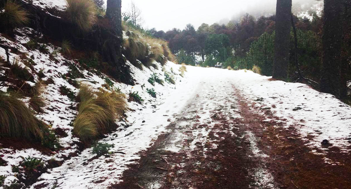 Prevén ambiente muy frío y nevadas al norte del país