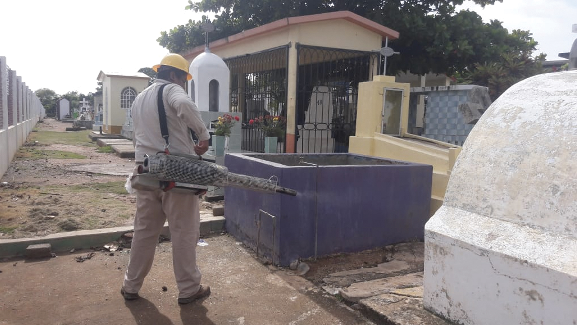 Suman 49 casos de dengue en lo que va del año en México