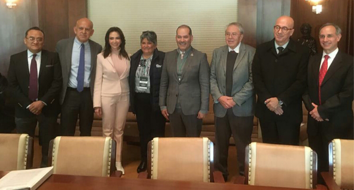 Gobernadores del PAN anuncian mesa técnica para abordar detalles del Insabi