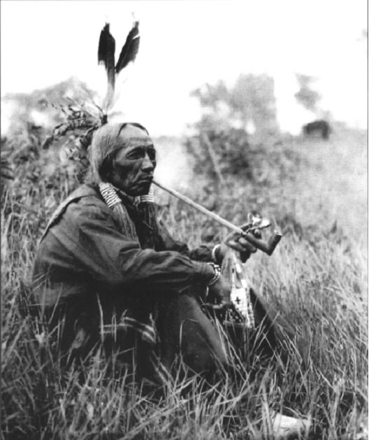Los guerreros del Arcoíris - img-9247