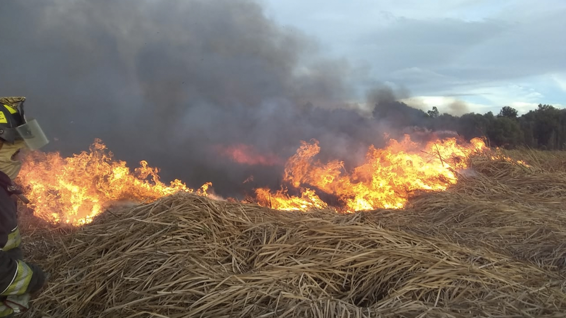 #Video Incendio consume pastizal en Xochimilco