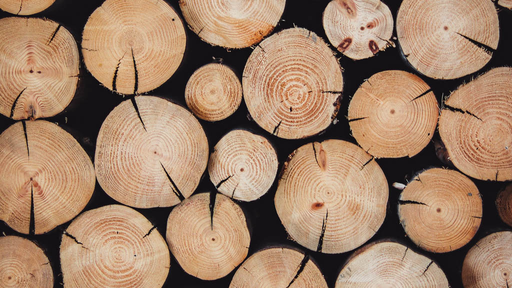 Empresarios madereros piden claridad al gobierno tras “mal” año