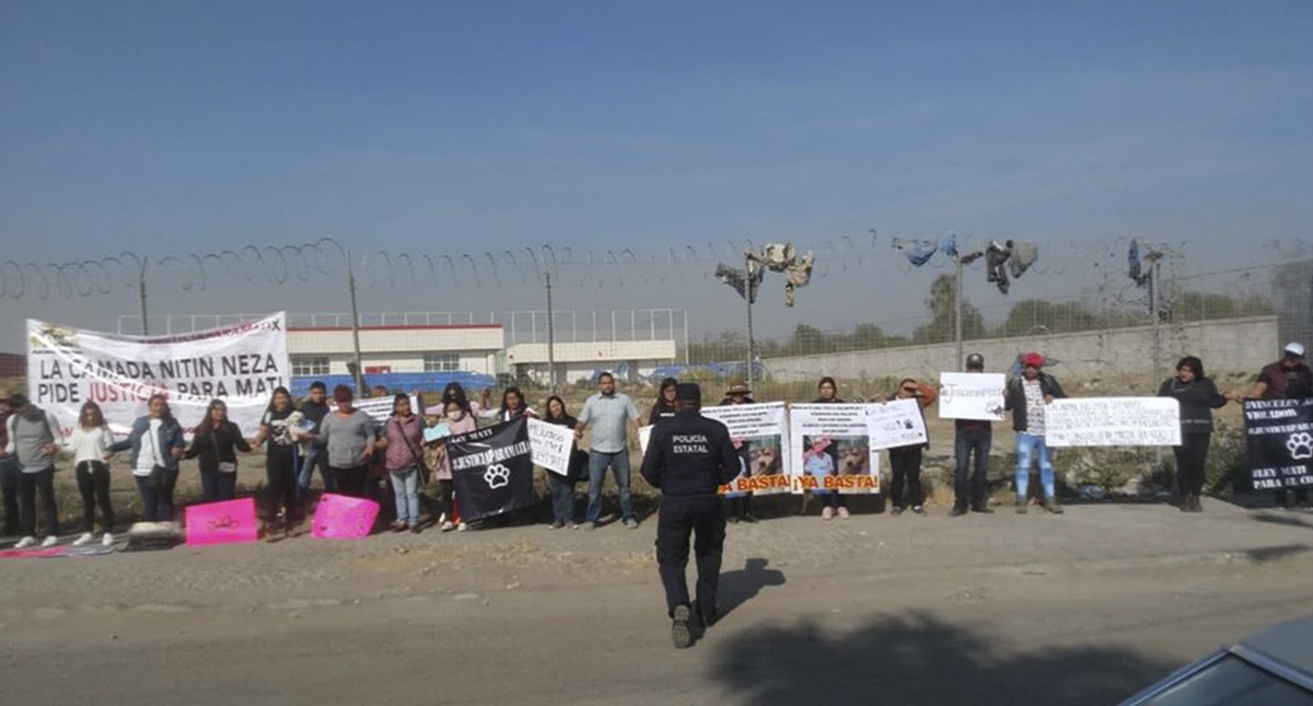 Vinculan a proceso en Nezahualcóyotl a violador de perra - manifestacion-para-exigir-justicia-para-la-perrita-mati-en-nezahualcoyotl
