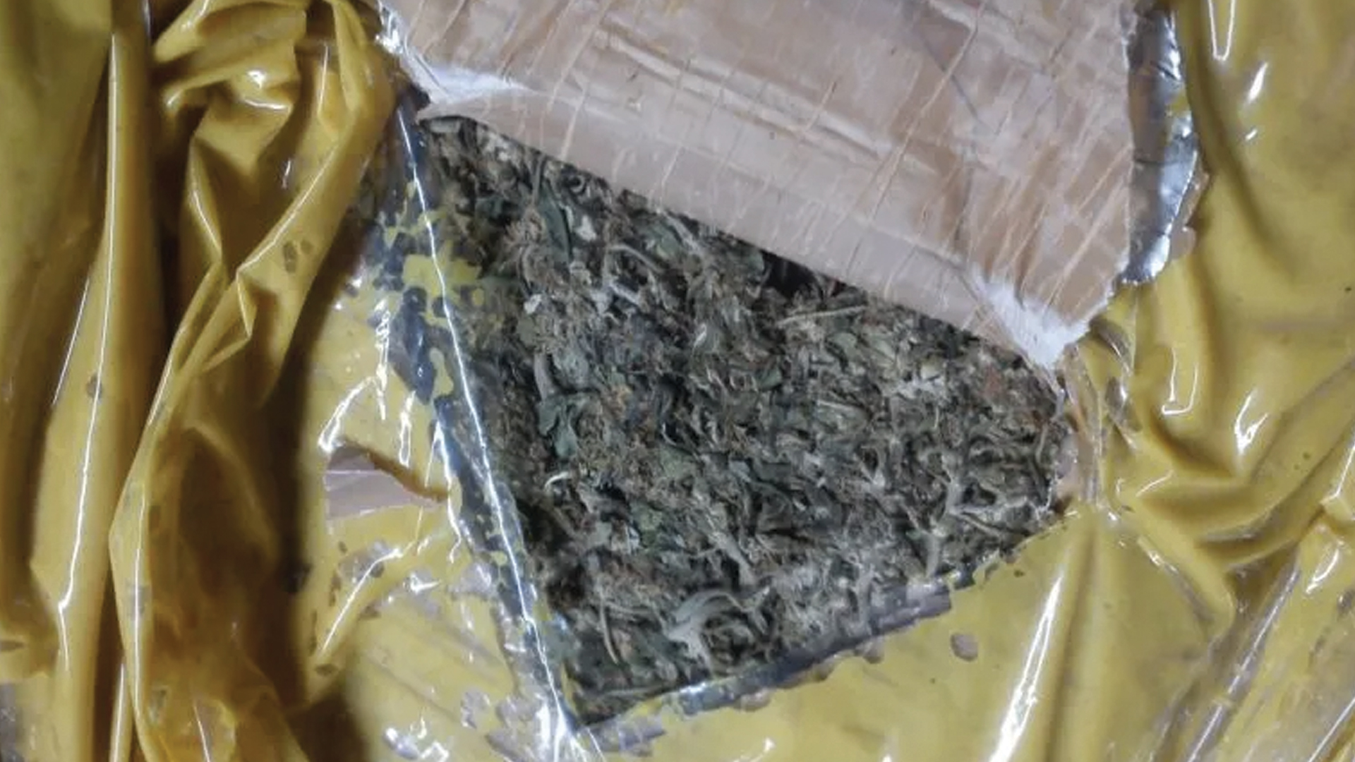 Decomisan 51 kilos de mariguana en Jalisco