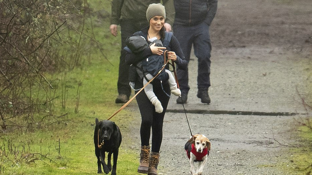 #Video Harry llega a Canadá para reunirse con Meghan y su hijo - meghan-markle-paseando-en-un-parque-de-vancouver-con-su-hijo-y-sus-dos-perros