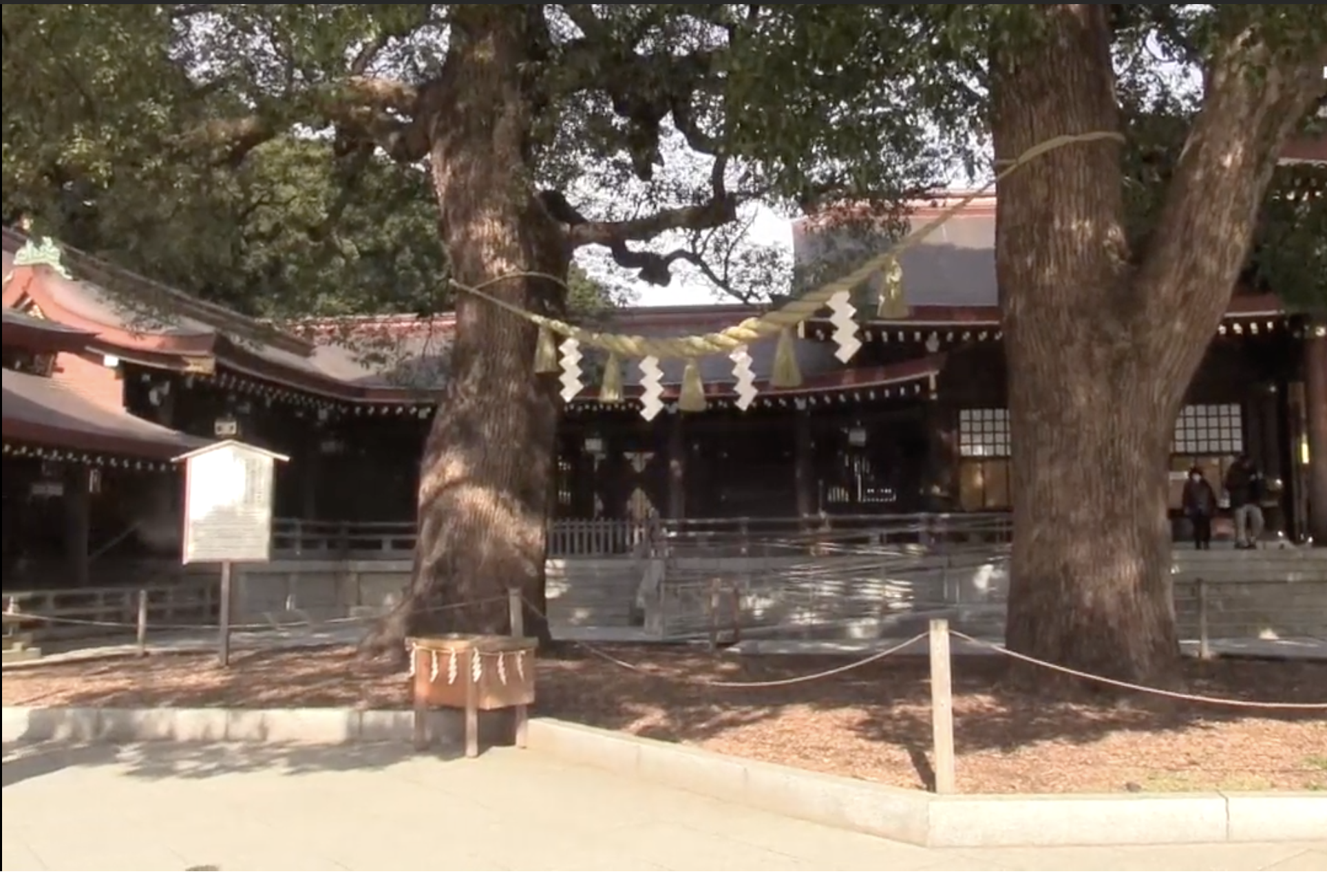 El santuario de Meiji cumple cien años honrando la memoria del Japón moderno