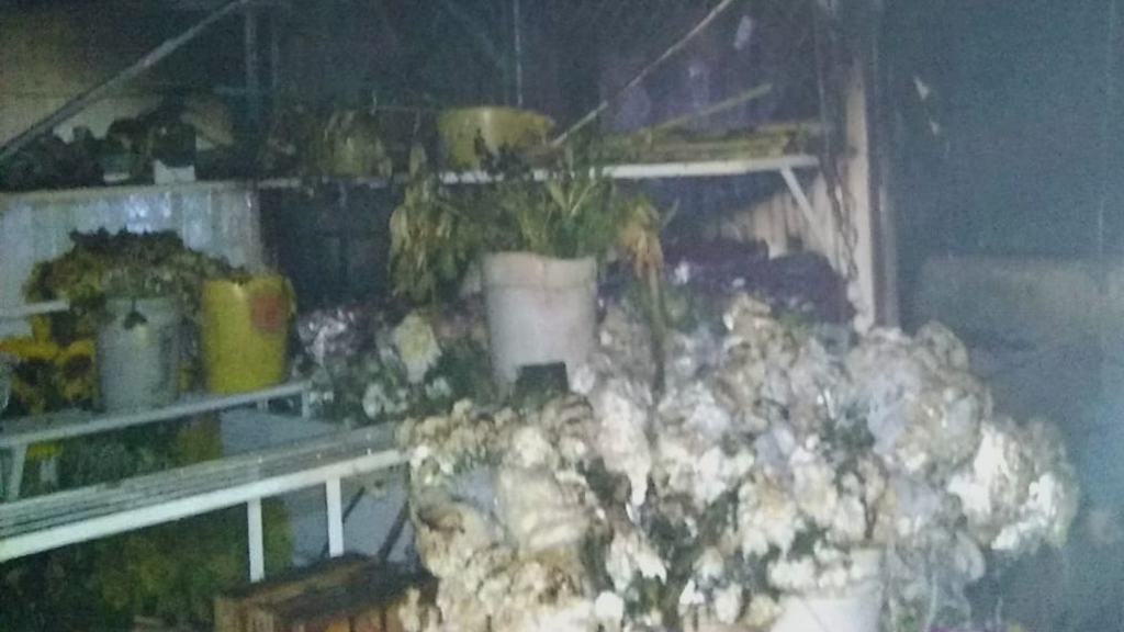 Incendio en Mercado de las Flores de Xochimilco consume 12 locales Incendio en Mercado de las Flores de Xochimilco consume 12 locales