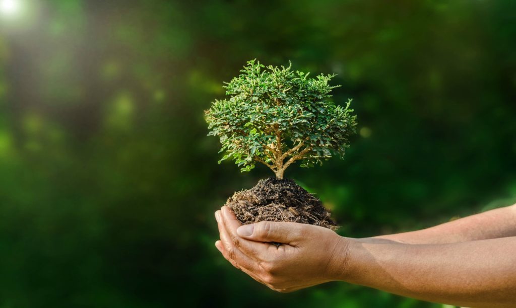 Guía para viajar de una manera sustentable - naturaleza