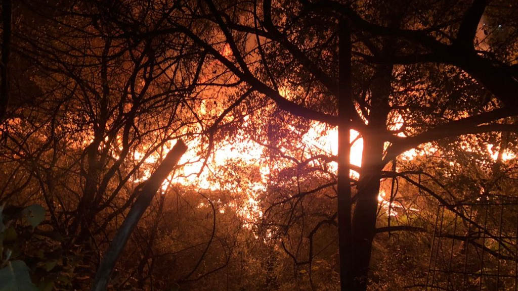 Combaten incendio en recicladora de Naucalpan