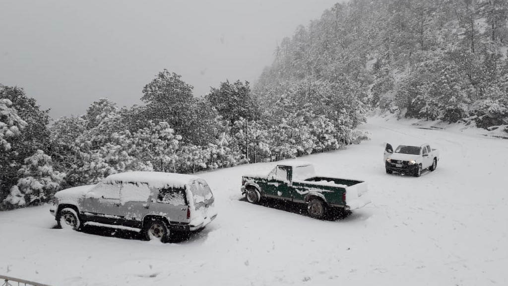 Municipios de Durango reciben 2020 con caída de nieve