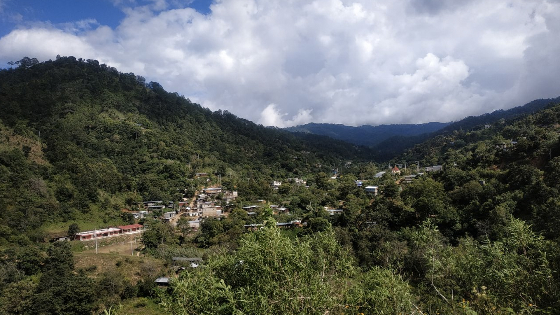 Inicia manejo forestal sustentable en Oaxaca