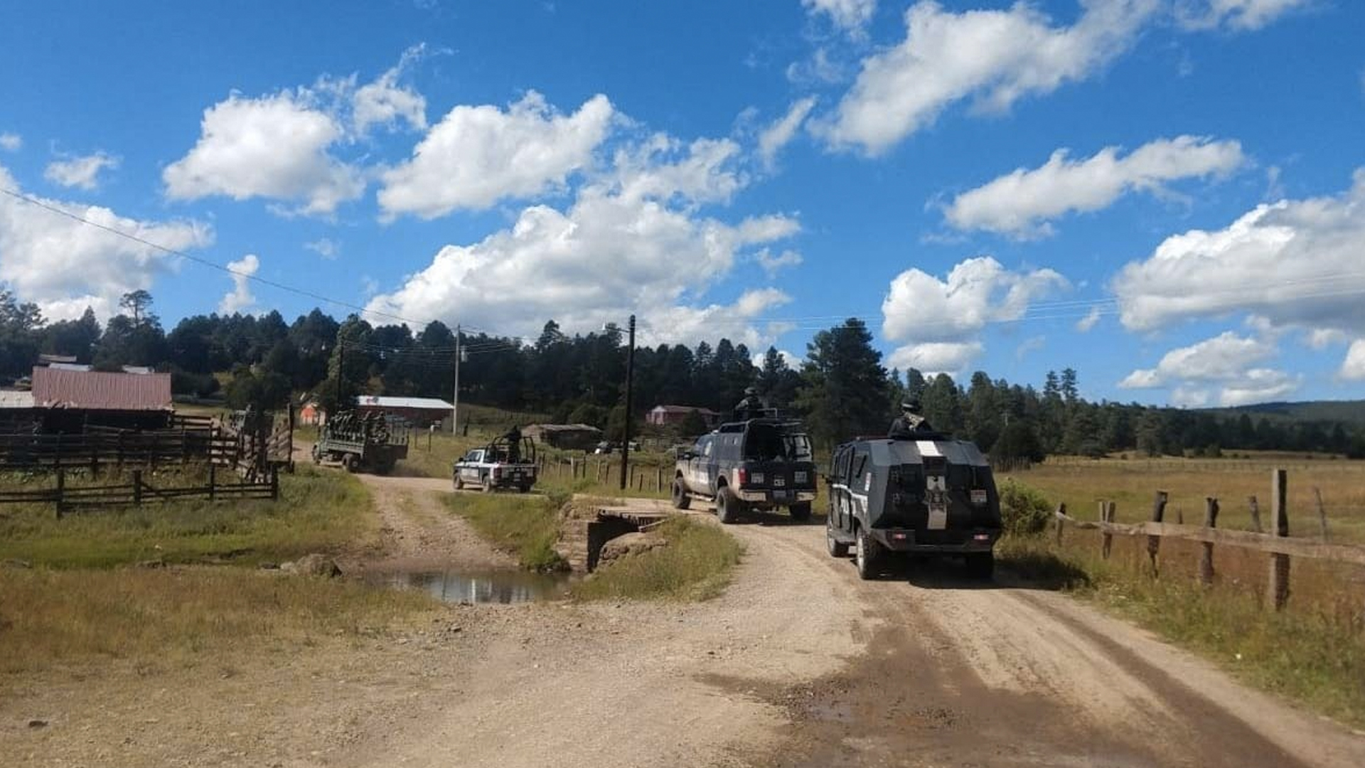Comando incendia 22 casas y 7 vehículos en Madera, Chihuahua