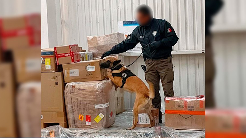 FGR asegura armas y drogas en empresas de paquetería