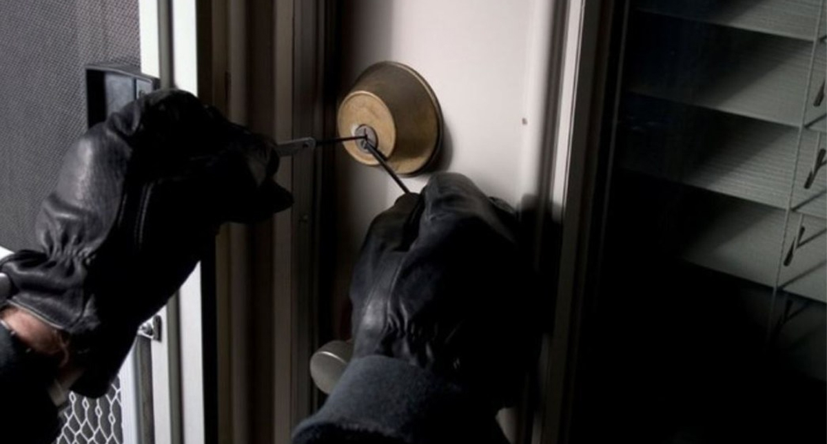 Matan a perro, roban 800 mil pesos y dejan amenaza de muerte en domicilio de Álvaro Obregón