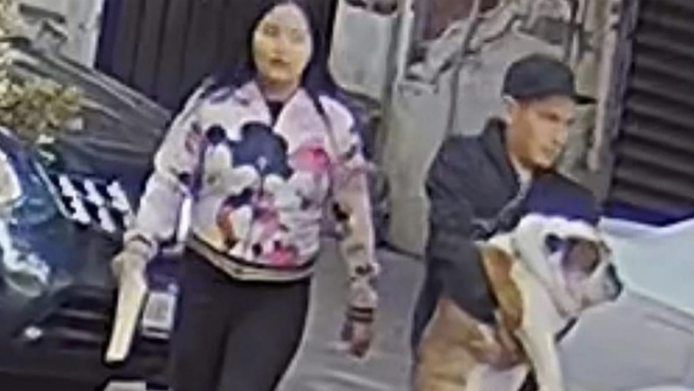 #Video Así se robaron a perro bulldog en la colonia Roma