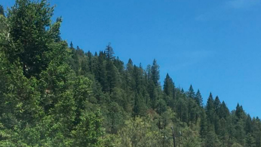 Encuentran a 11 personas desaparecidas en sierra de Coahuila