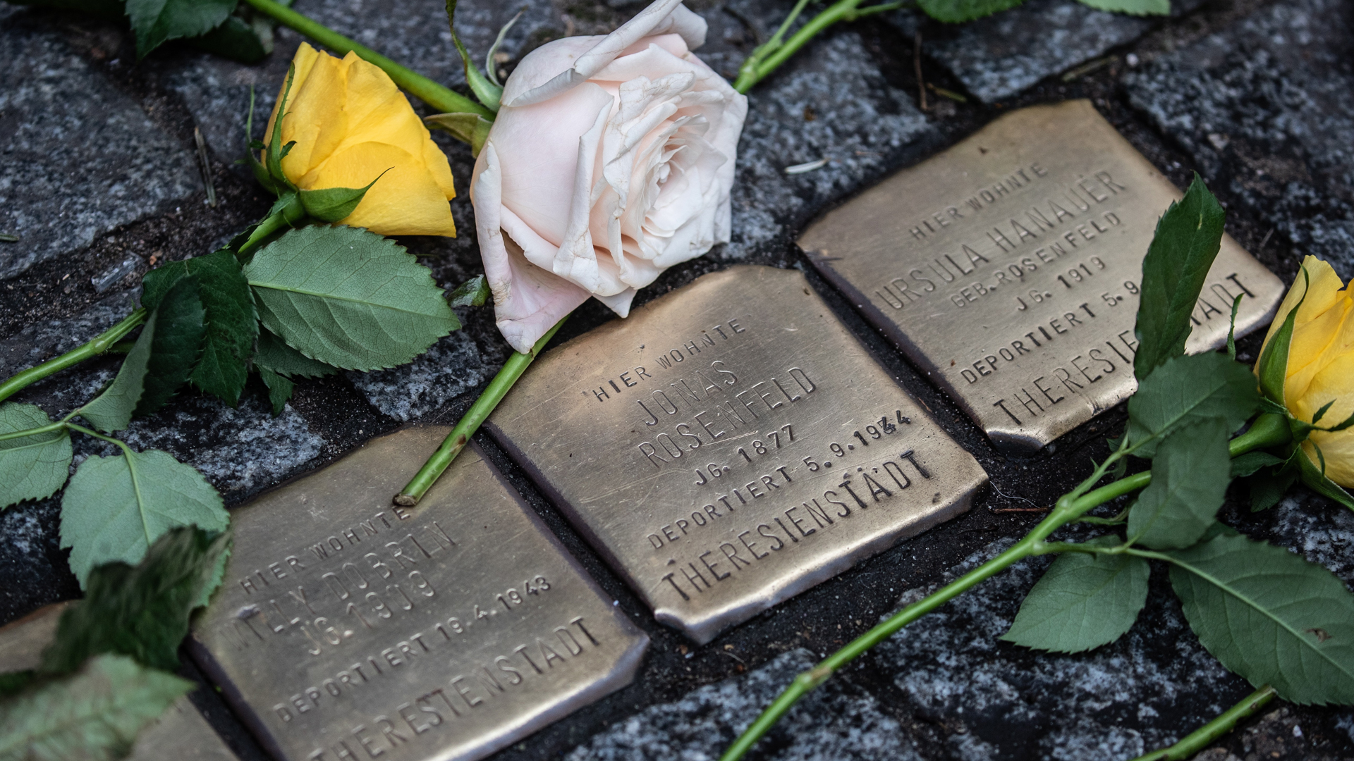 Sobrevivientes y líderes mundiales conmemoran liberación de Auschwitz - stolpersteine