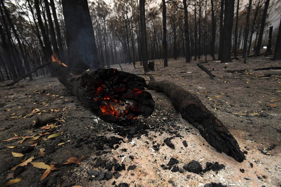 Suman 21 muertos por incendios en Australia - suman-21-muertos-por-incendios-en-australia1