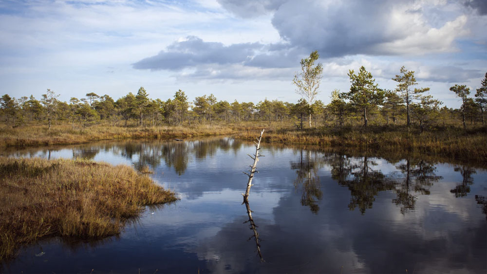 Trump termina con legislación para proteger cuerpos de agua