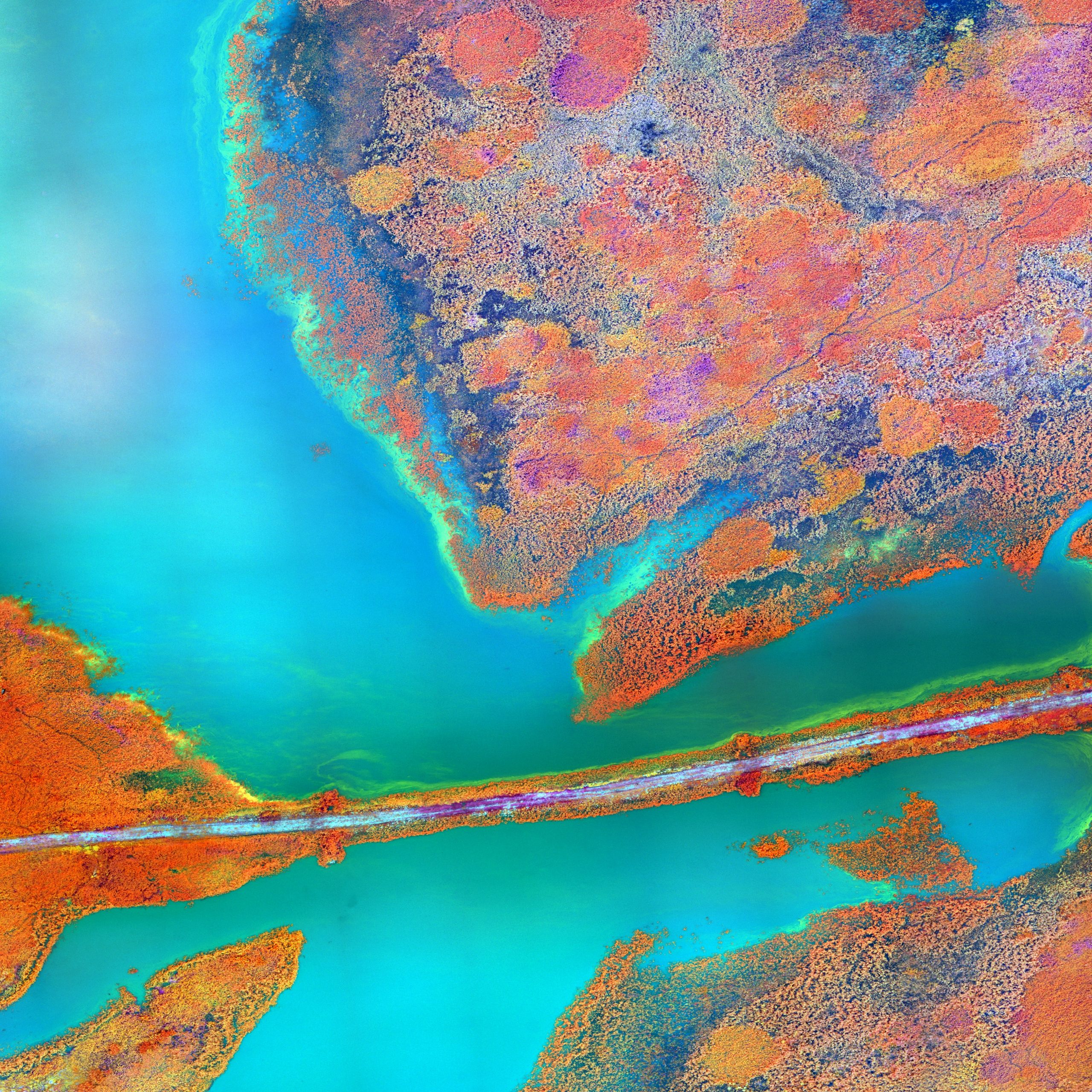 Reconocen a jóvenes que desarrollaron app para predecir proliferación de algas