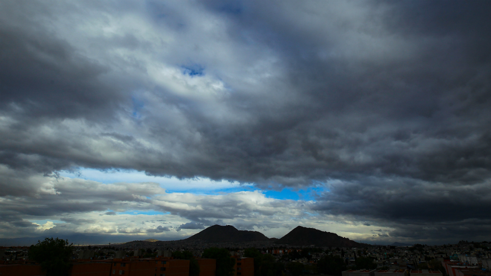 Viento tira al menos 20 árboles en la Ciudad de México