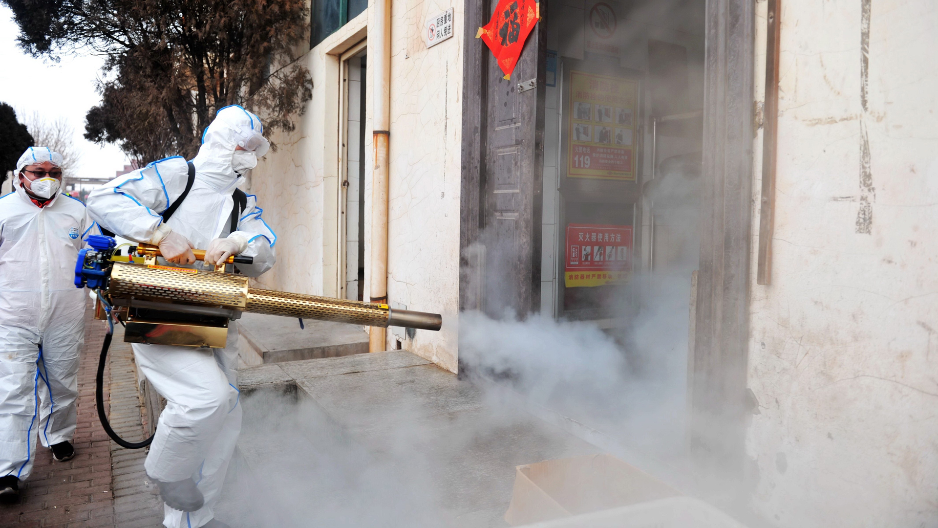 Director general de la OMS y Xi Jinping debaten lucha contra el coronavirus