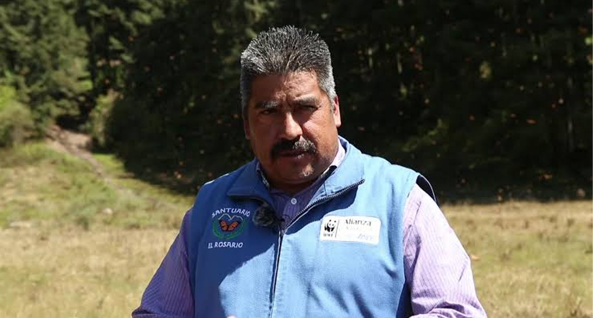 Greenpeace pide investigación exhaustiva por la muerte del activista Homero Gómez