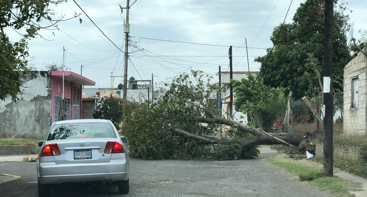 Frente Frío 41 deja a 77 colonias sin luz en Veracruz