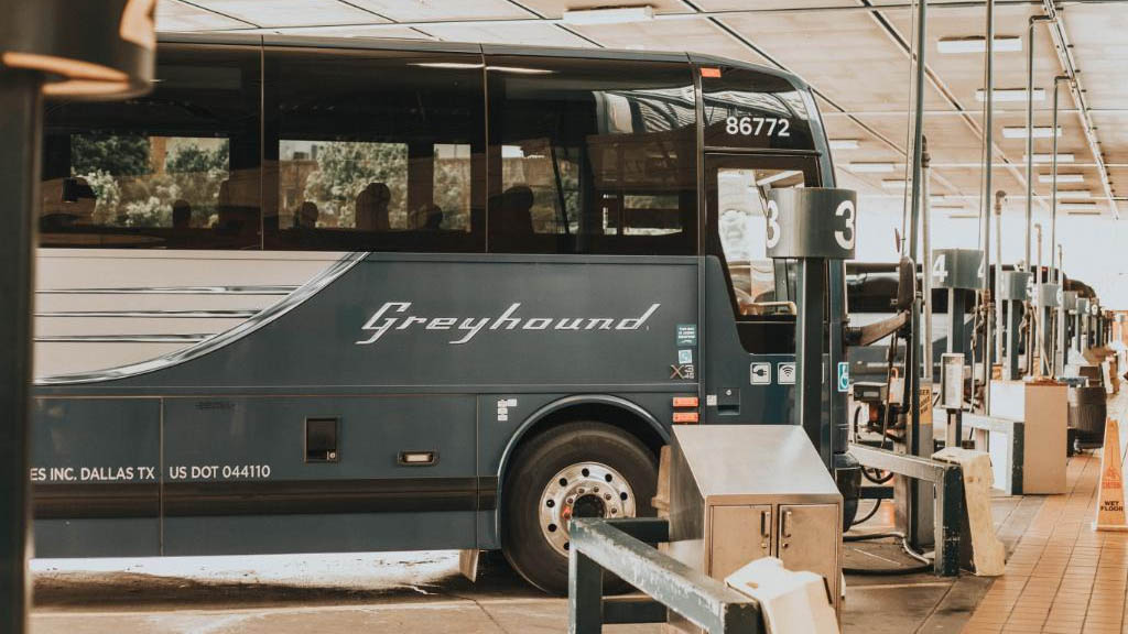 Greyhound ya no permitirá revisiones migratorias en autobuses