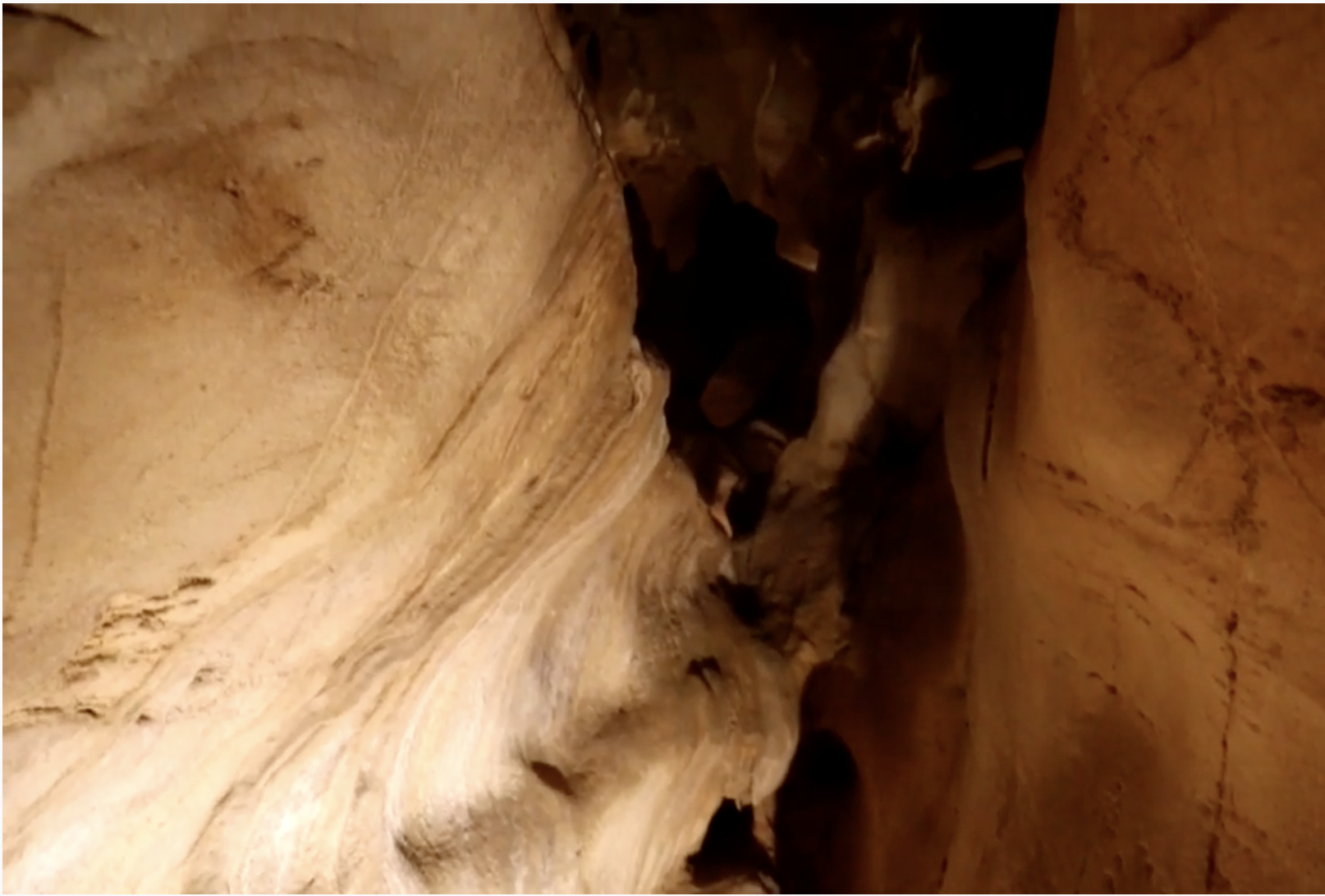 Bacterias del paleolítico, ¿La medicina del futuro?