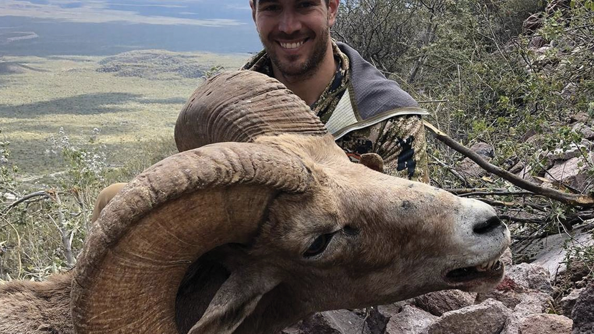 Ciudadano estadounidense comparte imágenes de borrego cimarrón cazado en BC