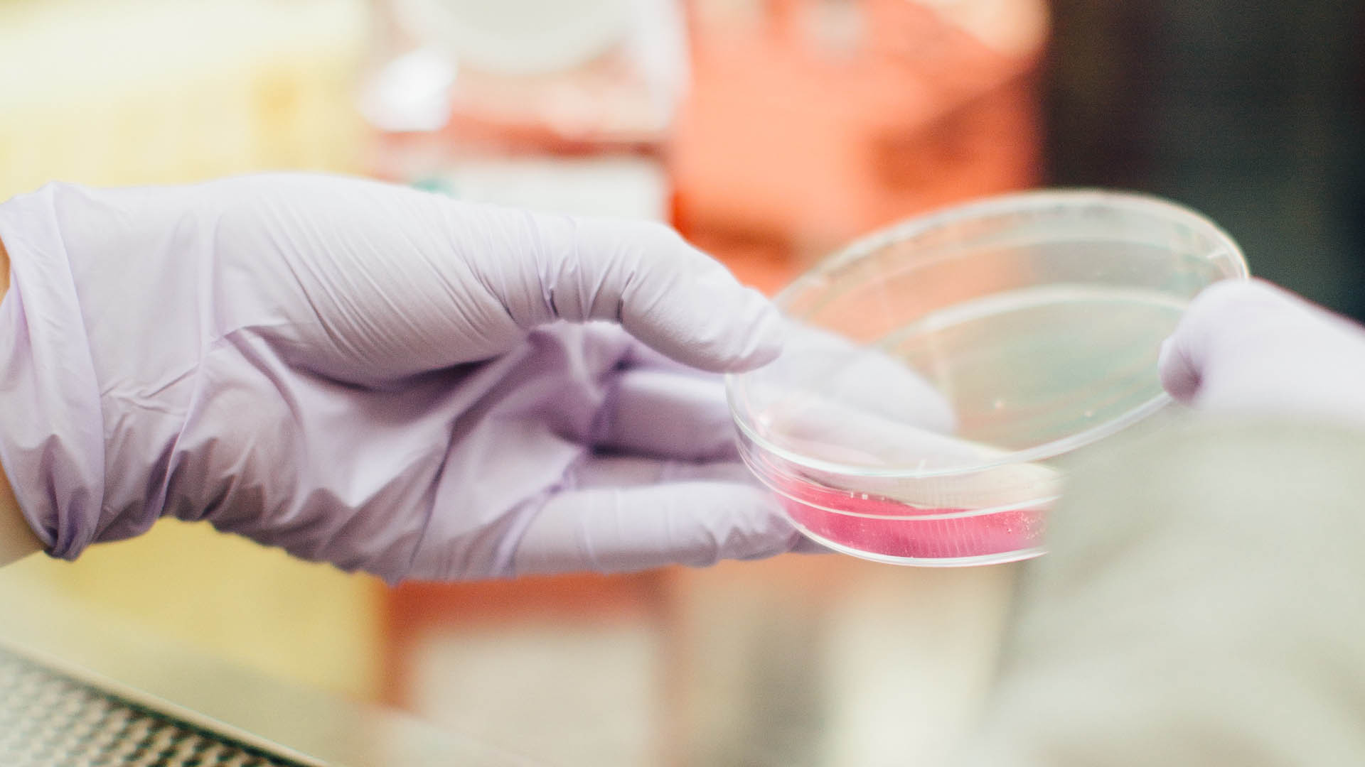 Cofece determina responsabilidad a laboratorios y bancos de sangre por prácticas monopólicas