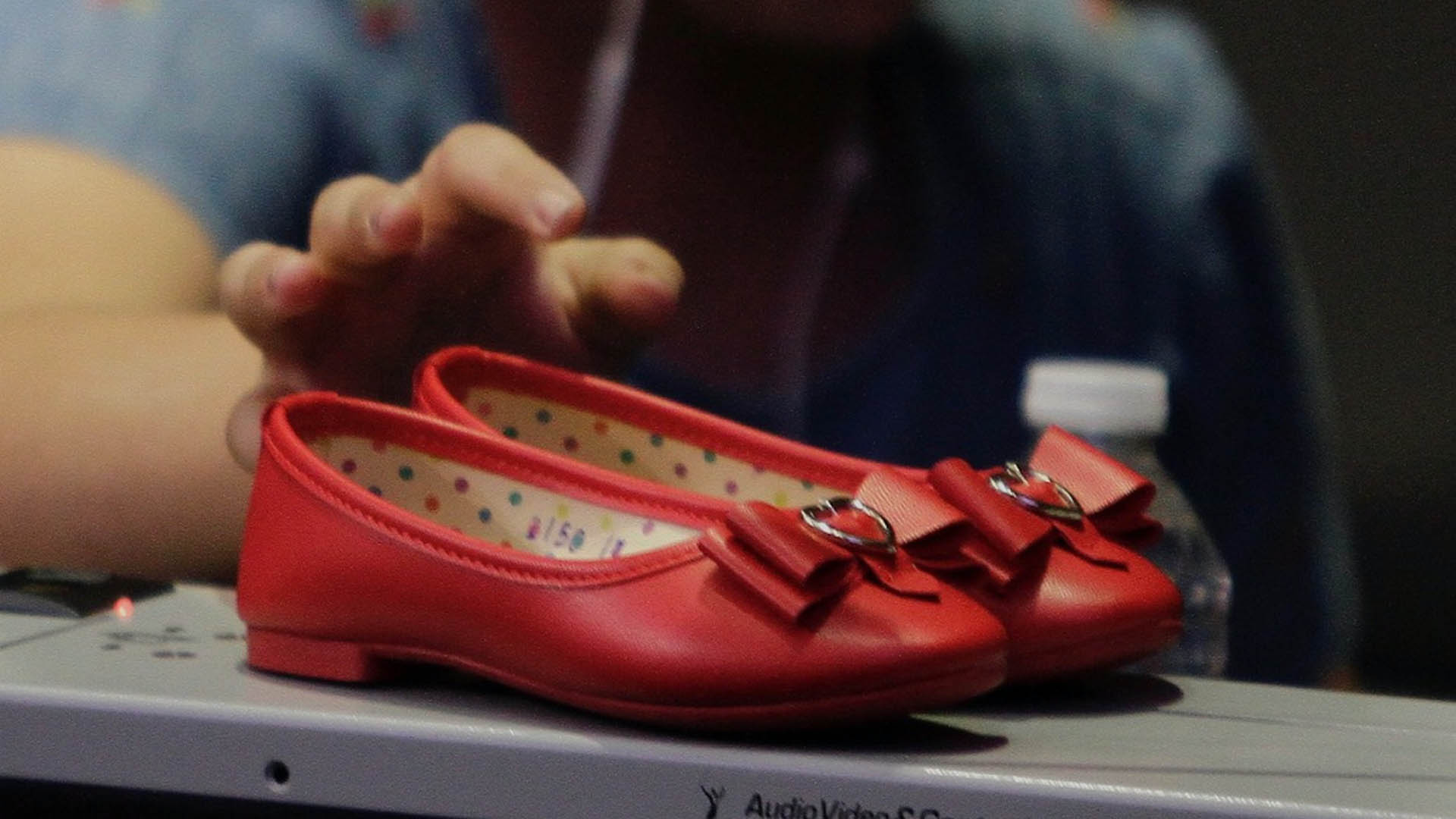 Minuto de silencio en la Cámara de Diputados por Fátima - camara-de-diputados-protesta-fatima