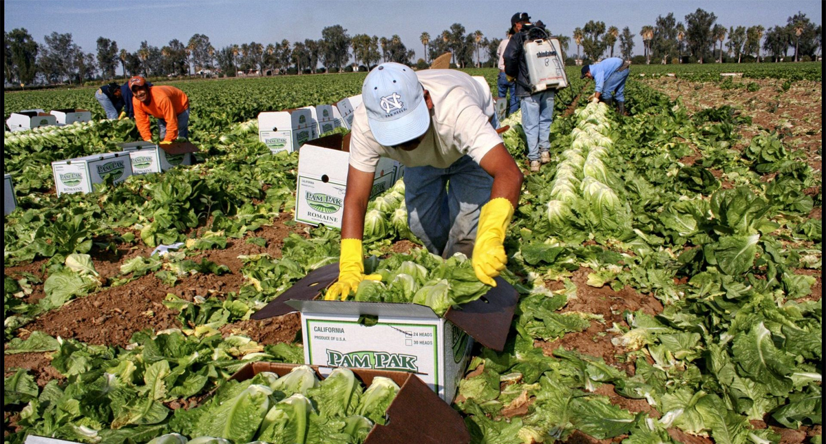 SRE presenta campaña en 25 lenguas indígenas para migrantes en Estados Unidos