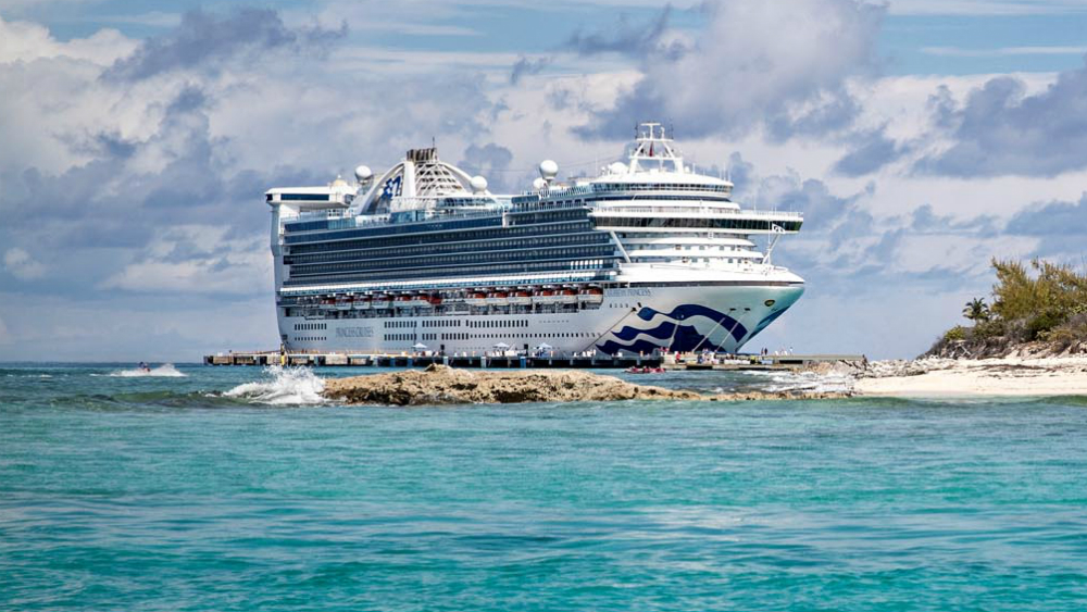 Llega a EE.UU. crucero con brote gastrointestinal en 300 personas