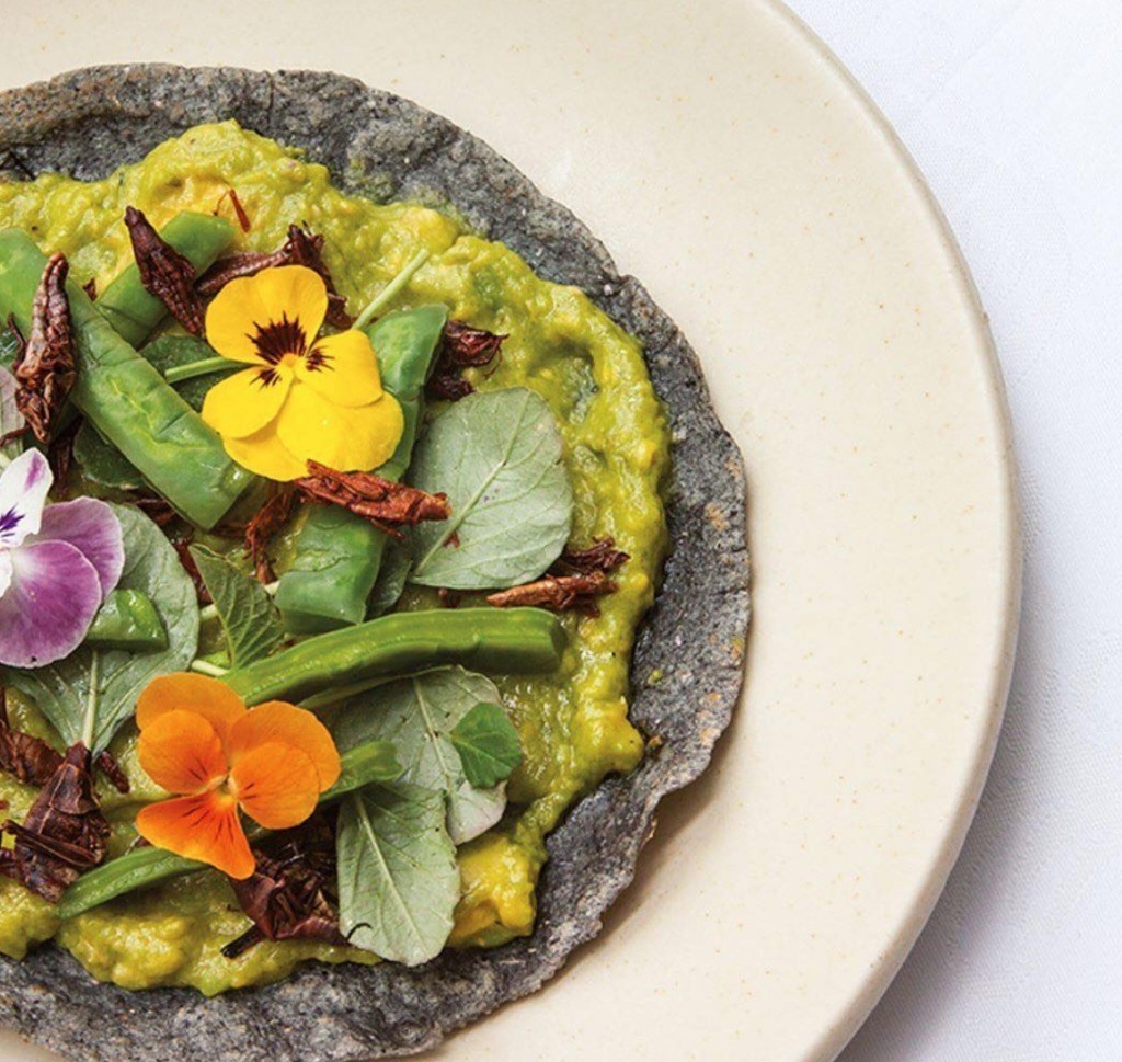 Recomendaciones para el fin de semana - cascabel