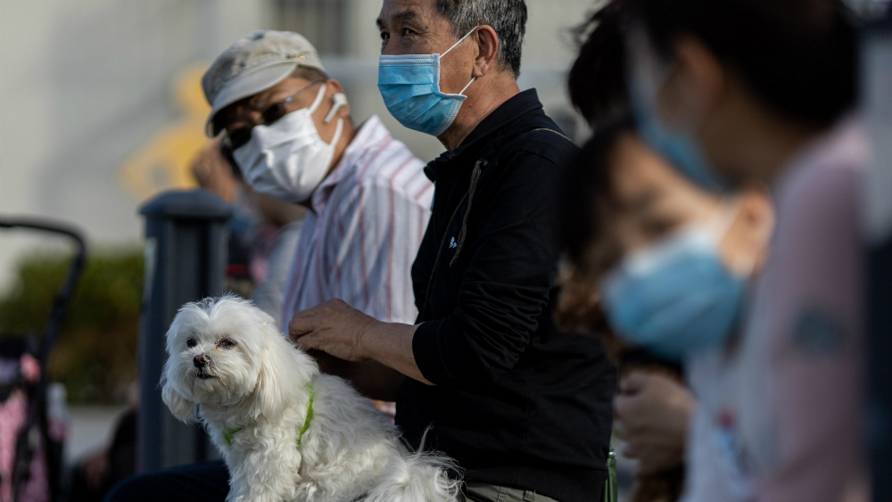 China detecta otro repunte de casos de COVID-19 pero con menos muertes