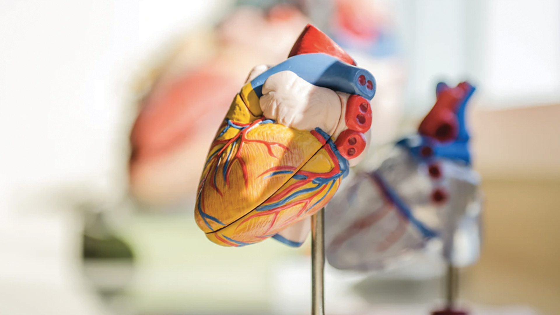 Médicos urgen mejorar atención integral a insuficiencia cardíaca en México