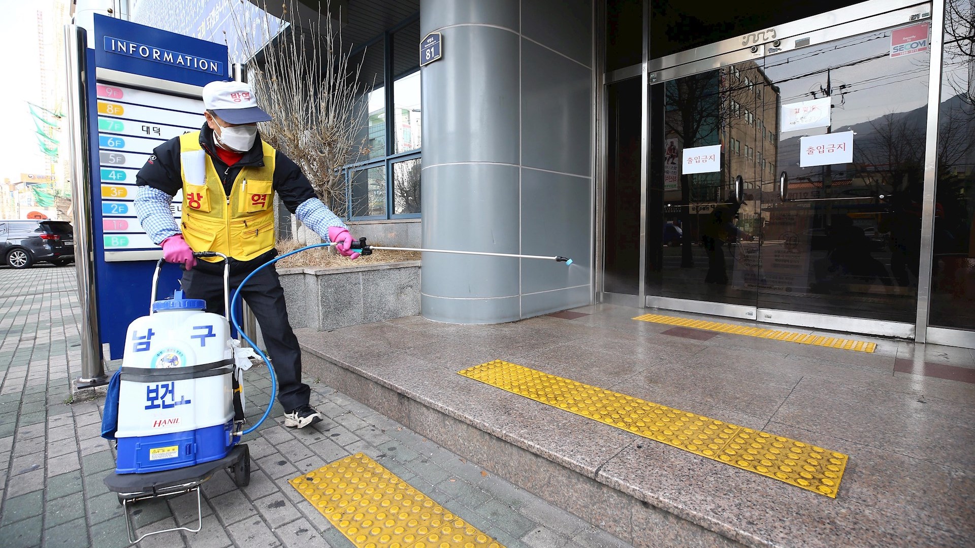 OMS se queja de insuficiente ayuda internacional a su plan contra el Covid-19 OMS se queja de insuficiente ayuda internacional a su plan contra el Covid-19