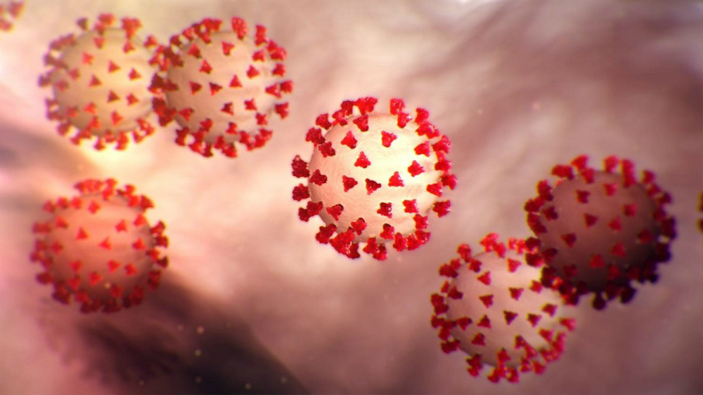 Diputados llaman a contar con partida particular para el coronavirus