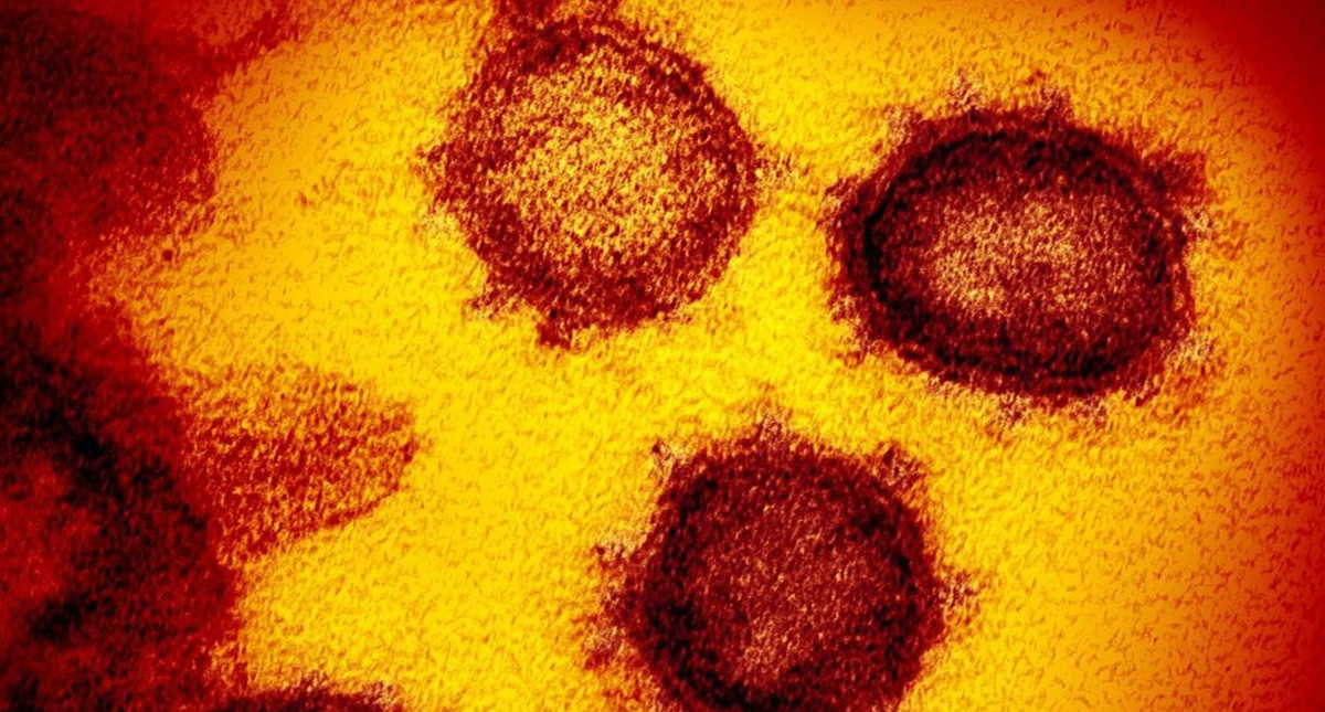 México sigue libre de Covid-19, reitera Secretaría de Salud